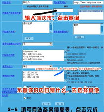 探元宇宙前夜融合元 順大瀾之下如西夫 Web-X 發展大之道 — 透視“新術伴我們建制作專家大連站的首選伴“新自然生長規則”